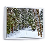 Snowy Road the Forest  Wall Art