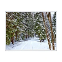 Snowy Road the Forest  Wall Art