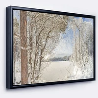 Lake Winter Woods  Wall Art