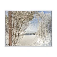 Lake Winter Woods  Wall Art