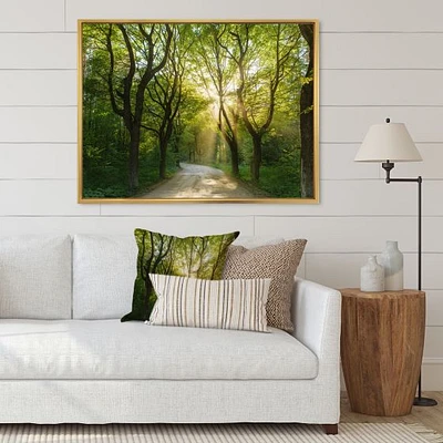 Evening Green Forest  Canvas Art Print