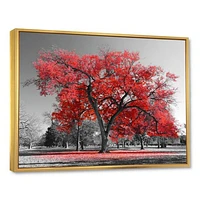 Toile  imprimée « Big Red Tree on Foggy Day »