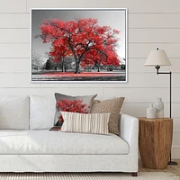 Toile  imprimée « Big Red Tree on Foggy Day »