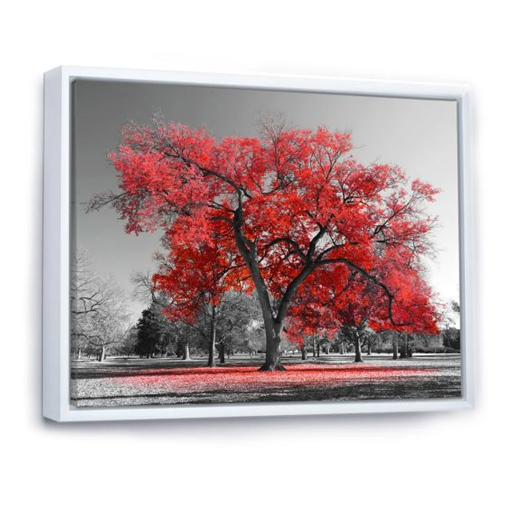 Toile  imprimée « Big Red Tree on Foggy Day »