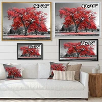 Toile  imprimée « Big Red Tree on Foggy Day »