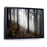 Toile « Misty Forest Morning Panorama