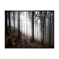 Toile « Misty Forest Morning Panorama