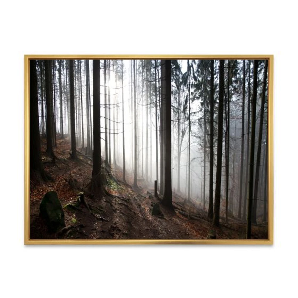 Toile « Misty Forest Morning Panorama