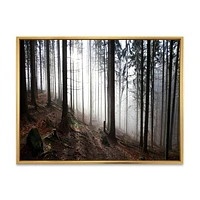 Toile « Misty Forest Morning Panorama