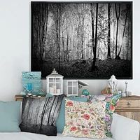 Toile  imprimée « Beautiful Forest Morning Panorama »