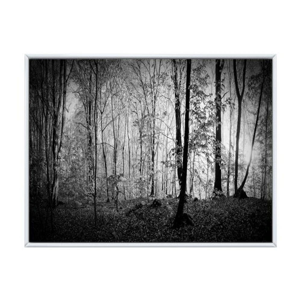 Toile  imprimée « Beautiful Forest Morning Panorama »