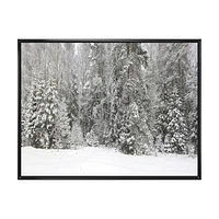 Toile « Foggy Winter Forest Panorama