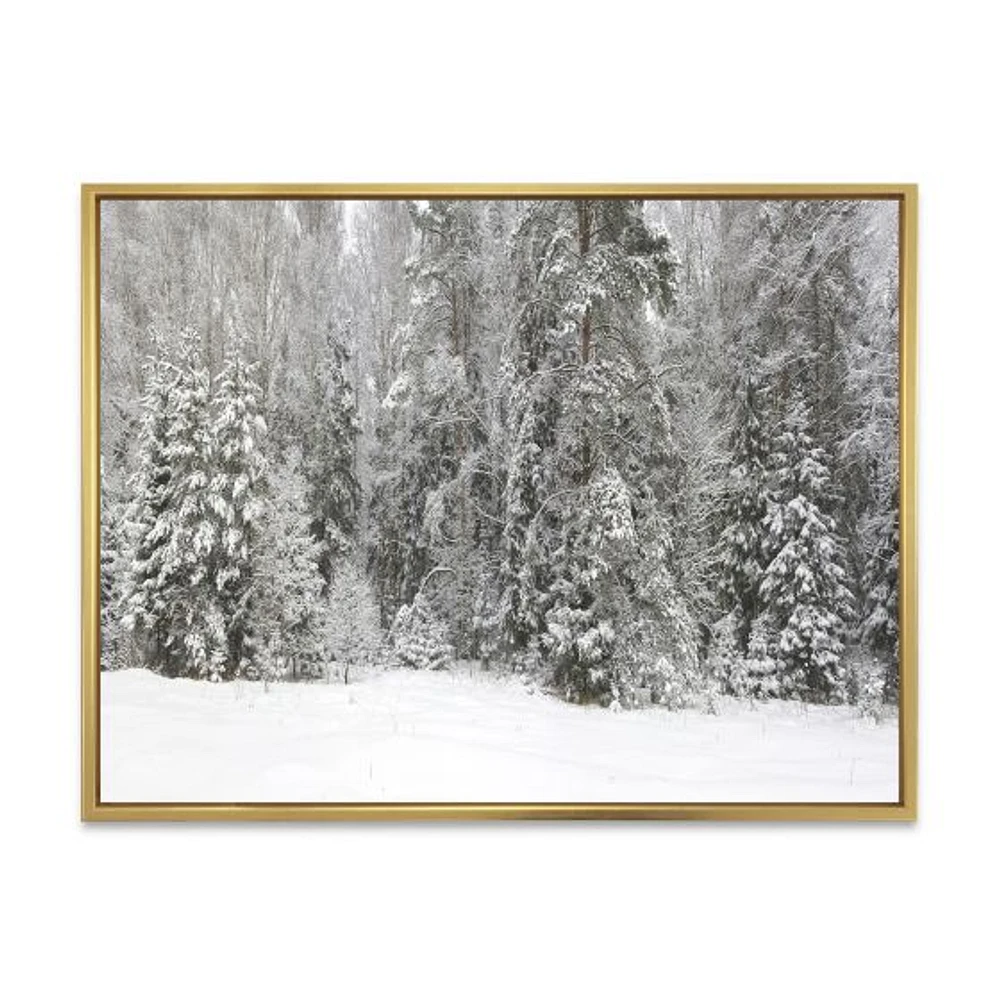 Toile « Foggy Winter Forest Panorama