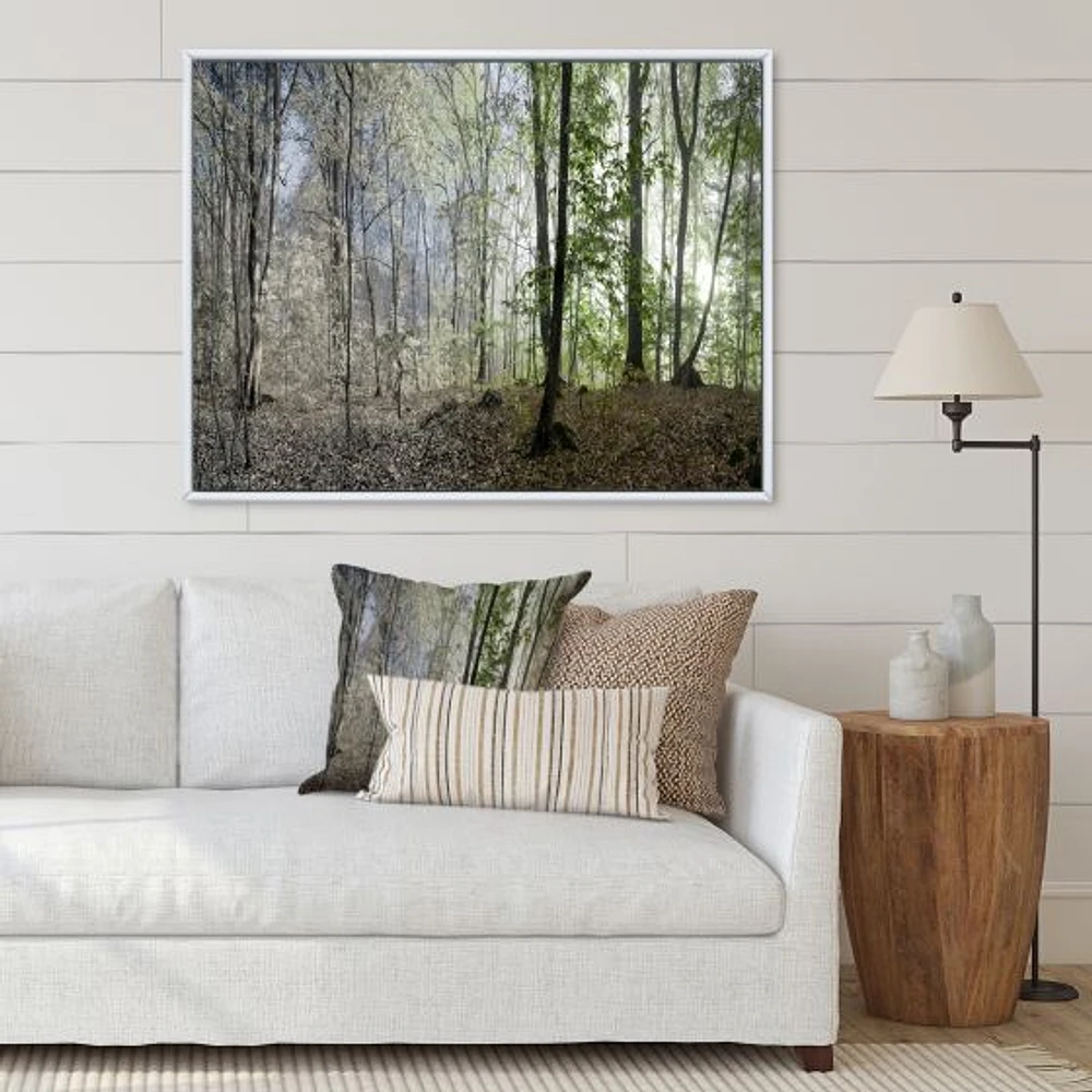 Green Morning Forest Panorama  Canvas Art Print