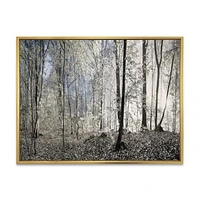 Dark Morning Forest Panorama  Canvas Wall Art Print