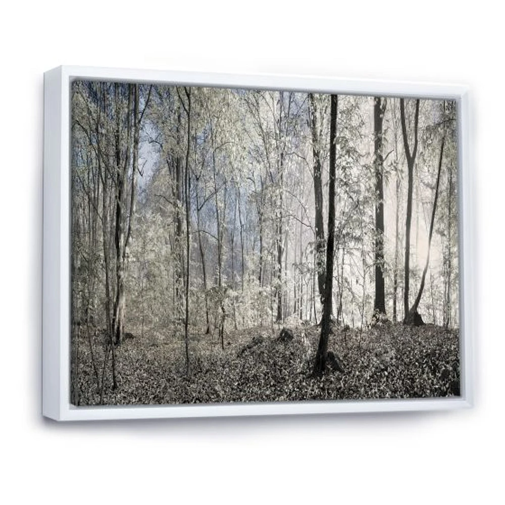 Dark Morning Forest Panorama  Canvas Wall Art Print