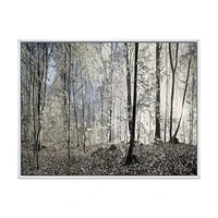 Dark Morning Forest Panorama  Canvas Wall Art Print