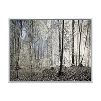 Dark Morning Forest Panorama  Canvas Wall Art Print