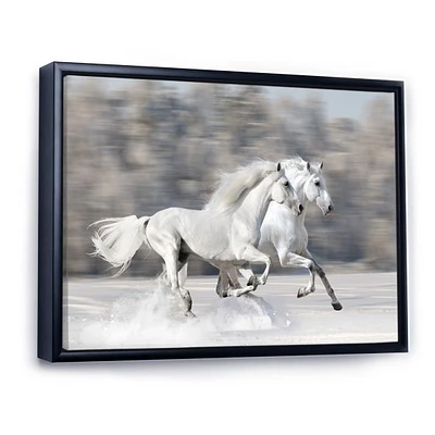 Two White Horse  Wall Art Canvas