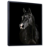 Toile « Black Horse darkness »