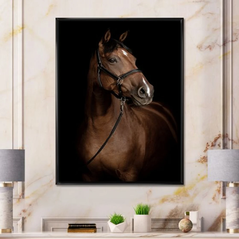 Horse Portrait  Canvas