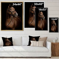 Toile « Horse Portrait »