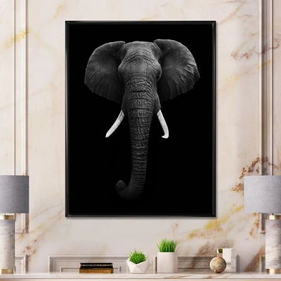 African Elephant  Wall Art