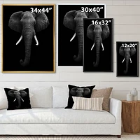 Toile « African Elephant »