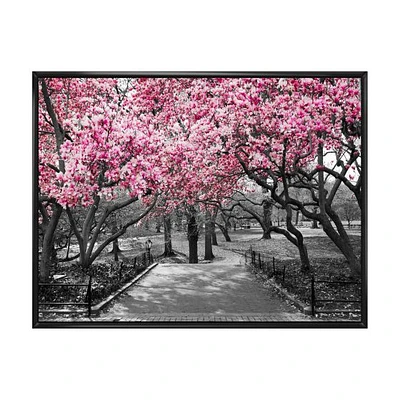 Cherry Blossoms  Canvas Wall Art