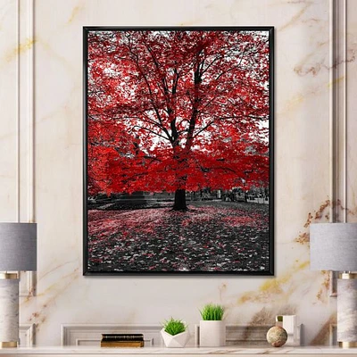 Red Tree Central Park  Wall Art