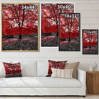 Toile « Red Tree Central Park »