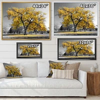 Big Golden Tree  Canvas Wall Art