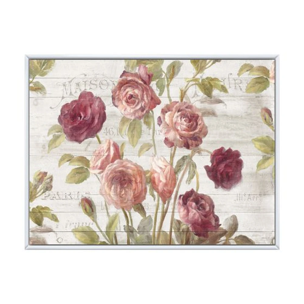 French Roses I  Canvas Wall Art