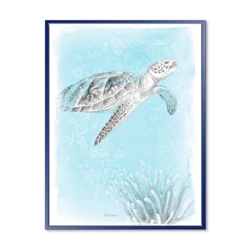 Toile « Coastal Sea Life I Turtle sketches »