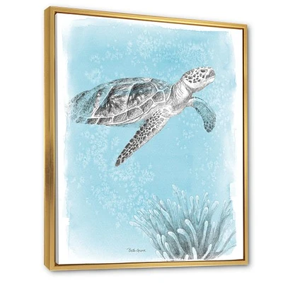 Coastal Sea Life I Turtle sketches  Wall Art