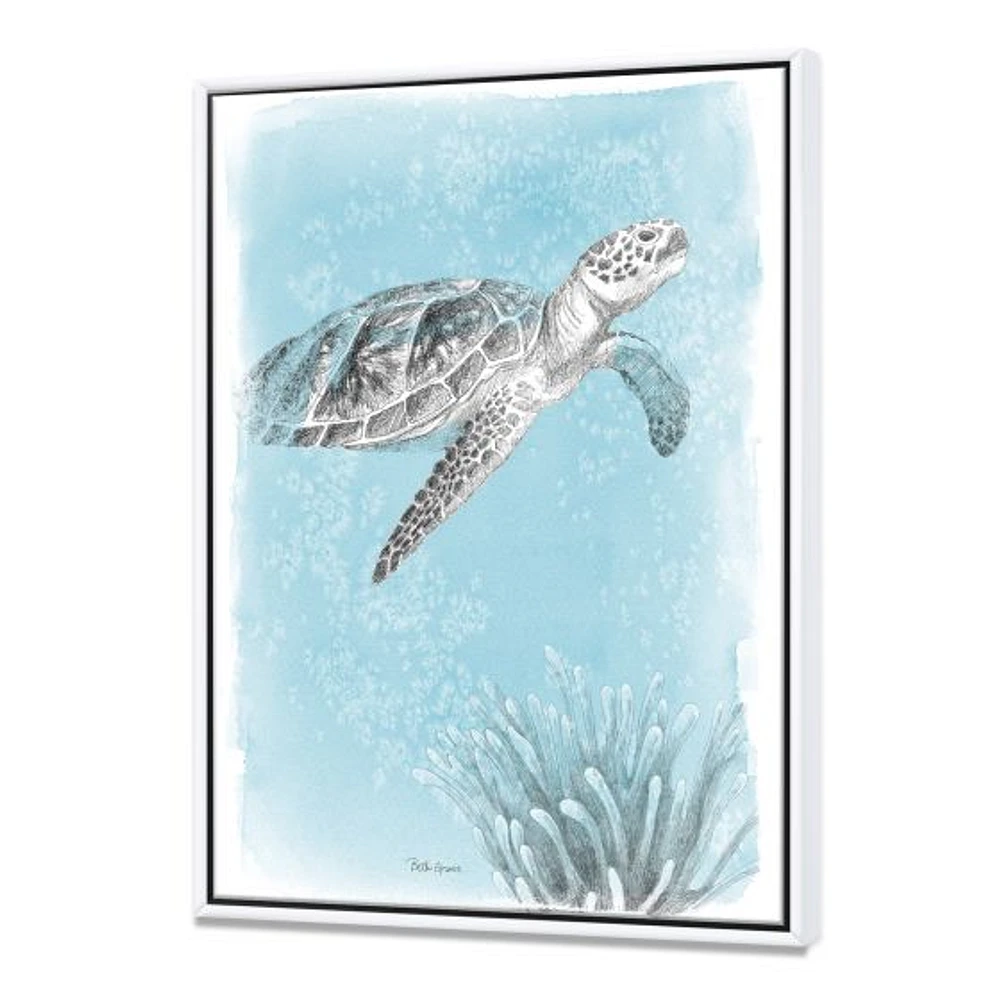 Toile « Coastal Sea Life I Turtle sketches »