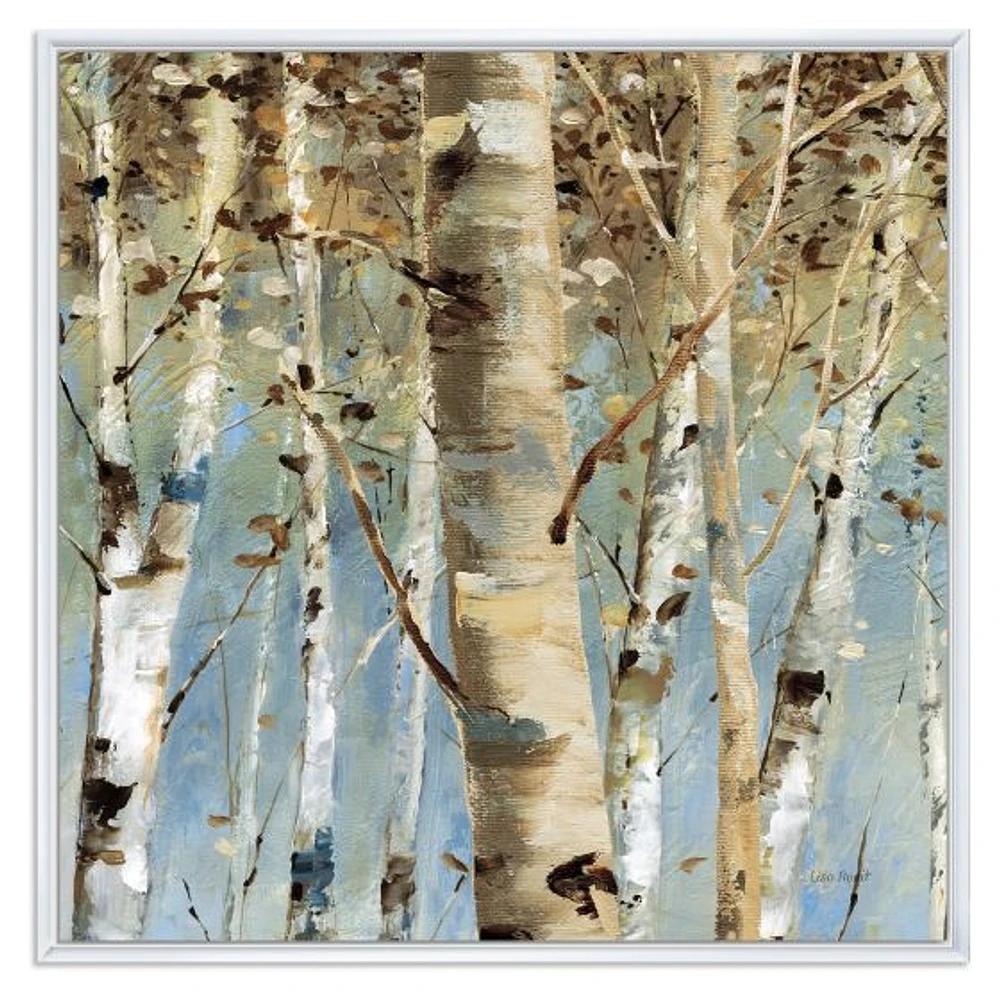 White Birch Forest II  Canvas Wall Art