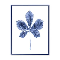 Navy Blue Chestnut Leaf  Wall Art