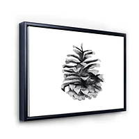 Toile « Conifer Cone Monochrome