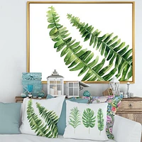 Toile « Fern Leaves Detail I