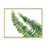 Fern Leaves Detail I  Wall Art