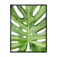 Toile « Green Monstera Leaf Tropical Palm Botanical Detail »