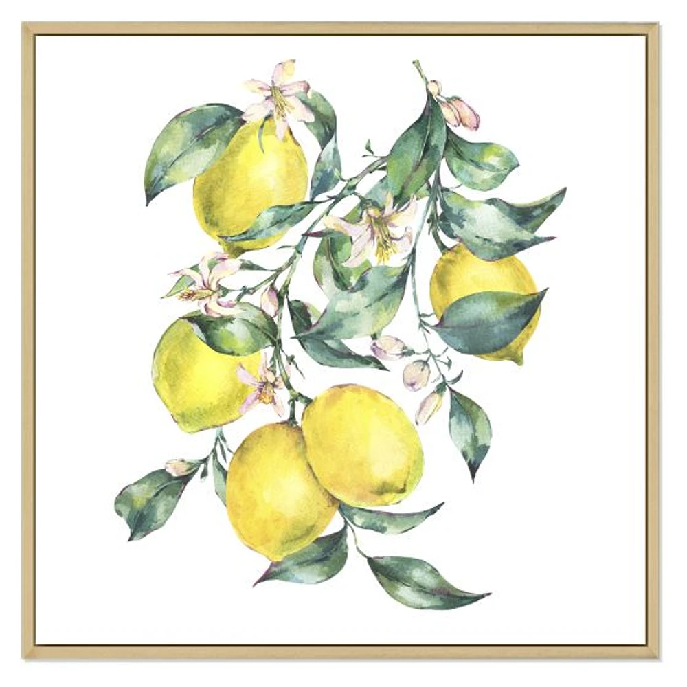 Branch of Yellow Lemons and Leaves I  Wall Art