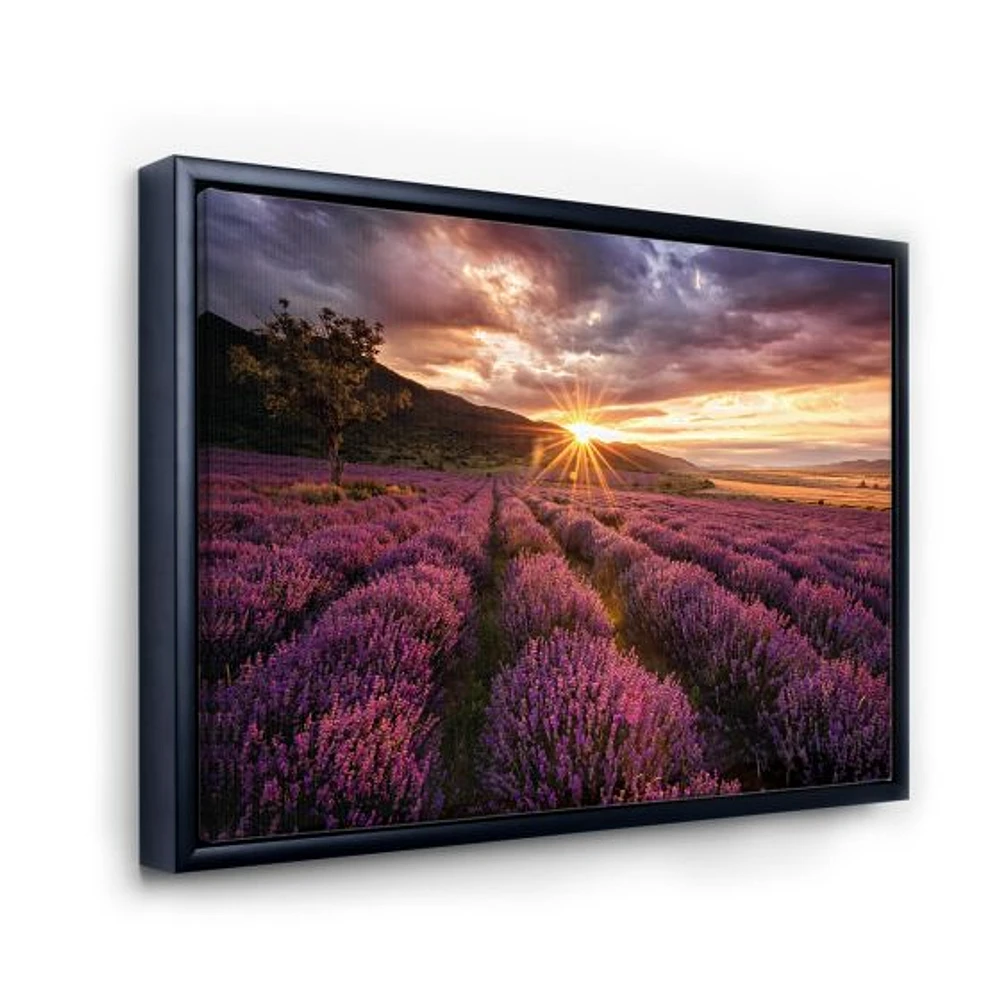 Sunrise & Dramatic Clouds Over Lavender Field IV  Wall Art