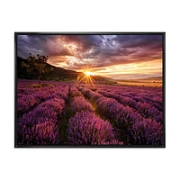 Sunrise & Dramatic Clouds Over Lavender Field IV  Wall Art