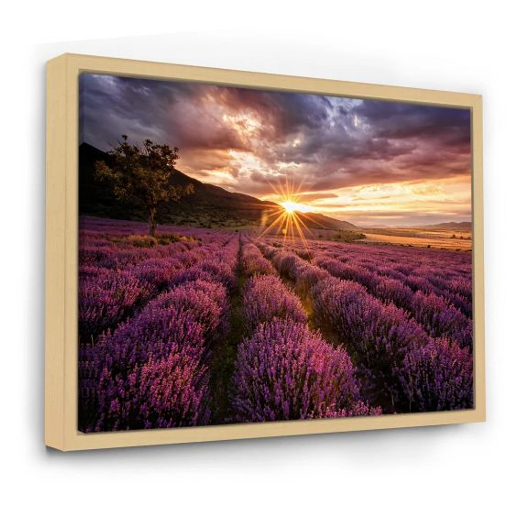 Sunrise & Dramatic Clouds Over Lavender Field IV  Wall Art