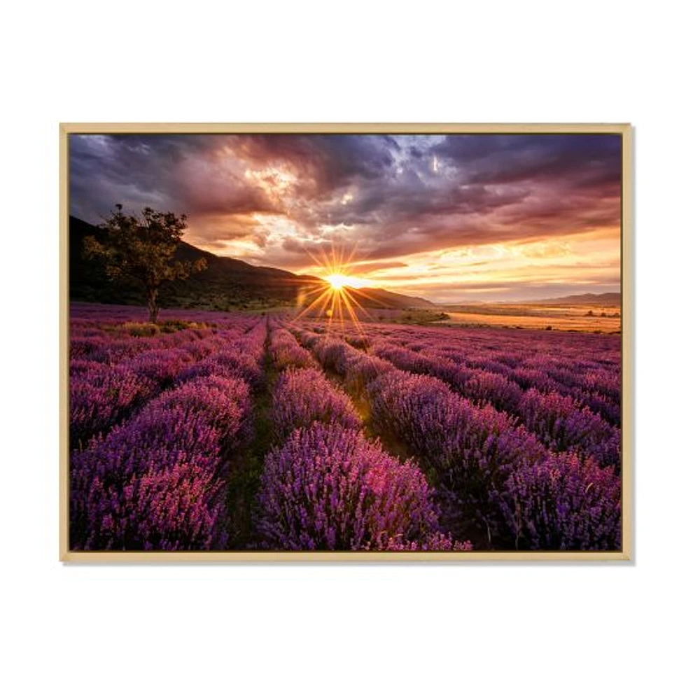 Sunrise & Dramatic Clouds Over Lavender Field IV  Wall Art