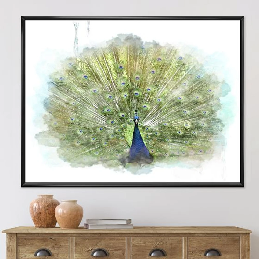 Peacock Bird  Wall Art