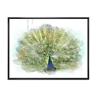 Peacock Bird  Wall Art