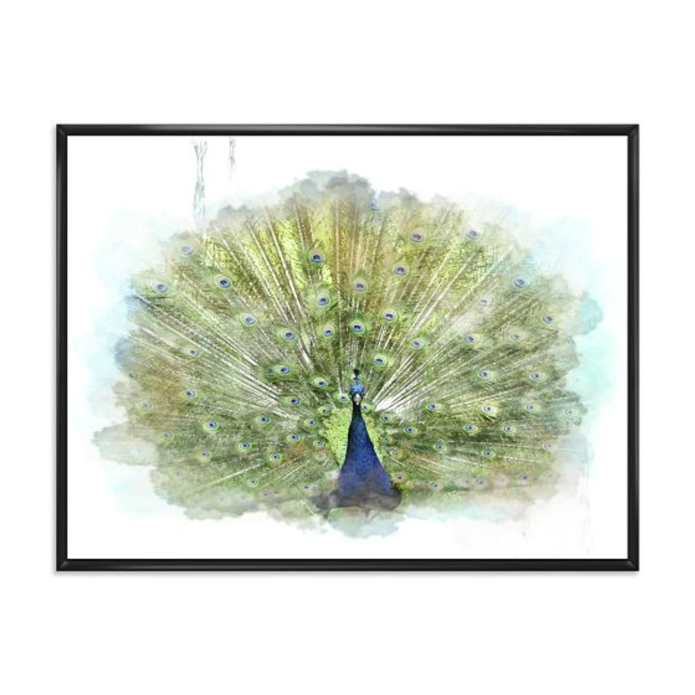 Peacock Bird  Wall Art